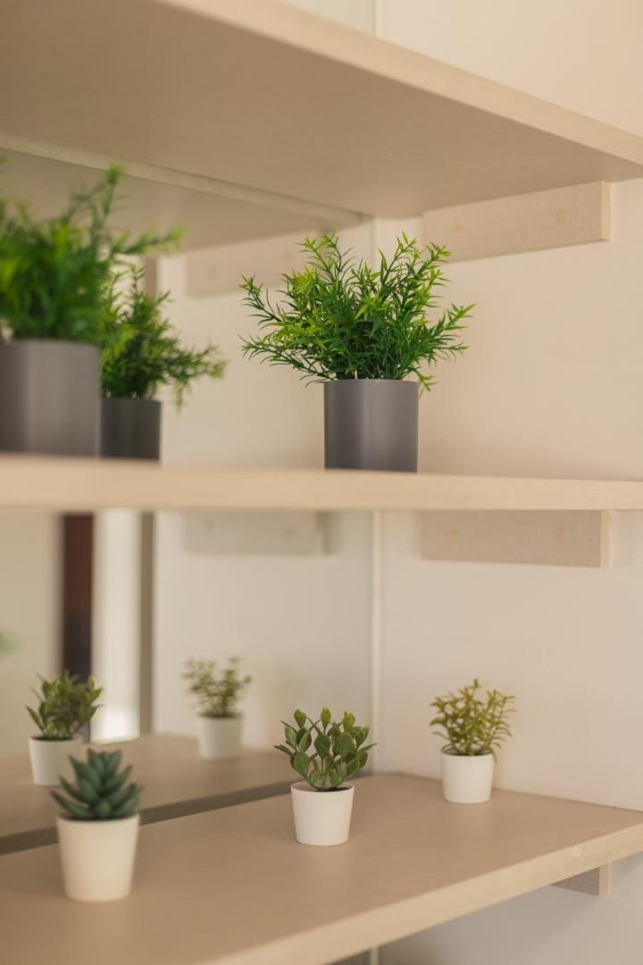Apartamento La Mejor Comodidad A Solo Pasos De Barrio Italia